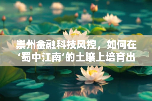 崇州金融科技风控，如何在‘蜀中江南’的土壤上培育出坚实的防线？