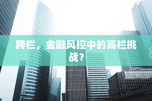 跨栏，金融风控中的高栏挑战？