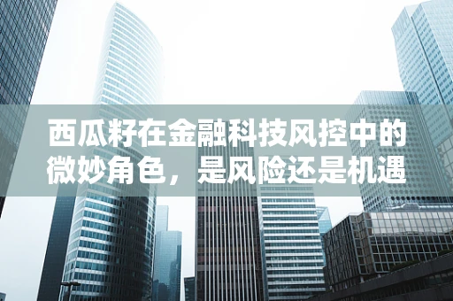 西瓜籽在金融科技风控中的微妙角色，是风险还是机遇？