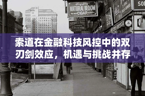 索道在金融科技风控中的双刃剑效应，机遇与挑战并存？