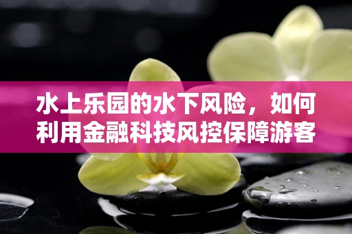 水上乐园的水下风险，如何利用金融科技风控保障游客安全？