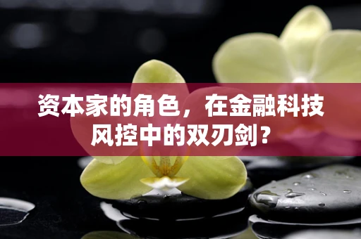 资本家的角色，在金融科技风控中的双刃剑？