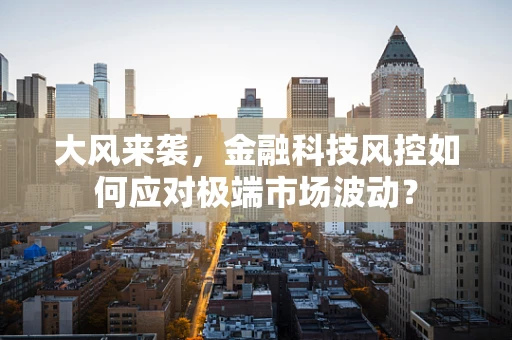 大风来袭，金融科技风控如何应对极端市场波动？