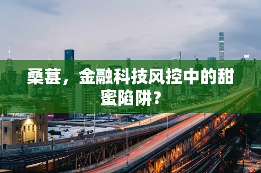 桑葚，金融科技风控中的甜蜜陷阱？