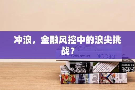 冲浪，金融风控中的浪尖挑战？