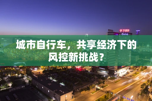 城市自行车，共享经济下的风控新挑战？