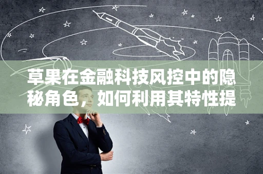 草果在金融科技风控中的隐秘角色，如何利用其特性提升风险识别精度？