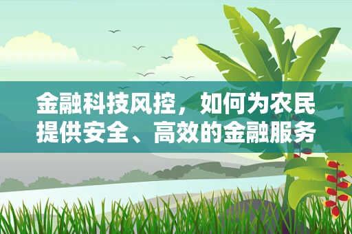 金融科技风控，如何为农民提供安全、高效的金融服务？