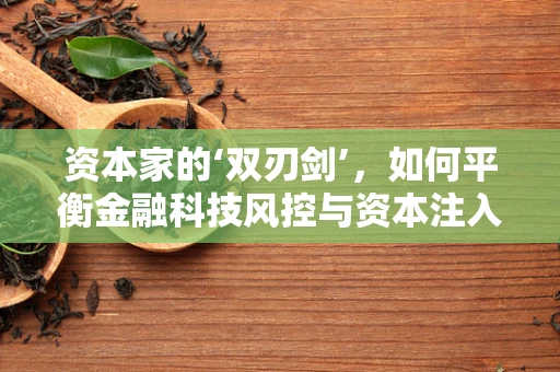 资本家的‘双刃剑’，如何平衡金融科技风控与资本注入的微妙关系？