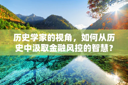 历史学家的视角，如何从历史中汲取金融风控的智慧？