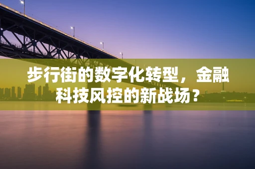 步行街的数字化转型，金融科技风控的新战场？