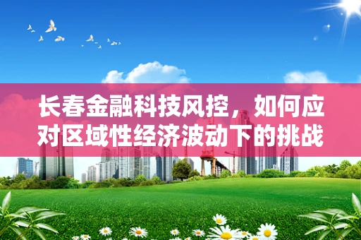 长春金融科技风控，如何应对区域性经济波动下的挑战？