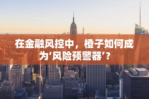 在金融风控中，橙子如何成为‘风险预警器’？
