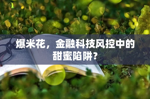爆米花，金融科技风控中的甜蜜陷阱？