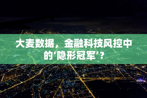 大麦数据，金融科技风控中的‘隐形冠军’？