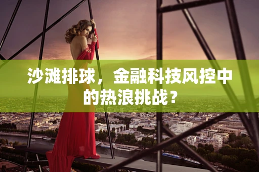 沙滩排球，金融科技风控中的热浪挑战？