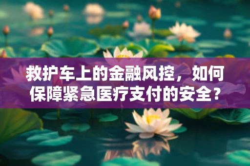 救护车上的金融风控，如何保障紧急医疗支付的安全？