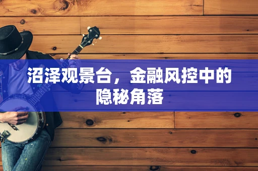 沼泽观景台，金融风控中的隐秘角落