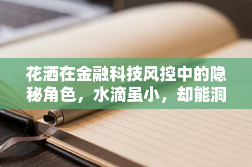 花洒在金融科技风控中的隐秘角色，水滴虽小，却能洞悉风险？
