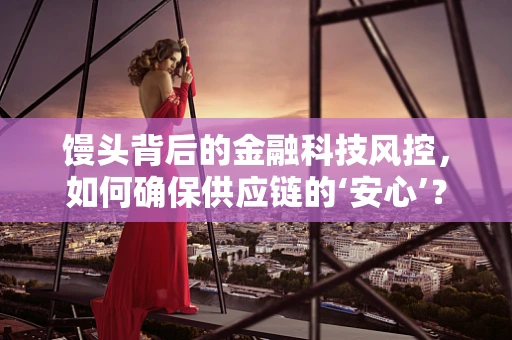 馒头背后的金融科技风控，如何确保供应链的‘安心’？