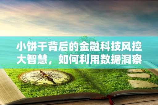 小饼干背后的金融科技风控大智慧，如何利用数据洞察隐藏风险？