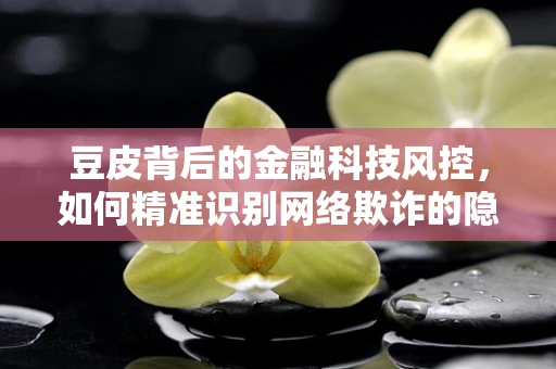 豆皮背后的金融科技风控，如何精准识别网络欺诈的隐形衣？