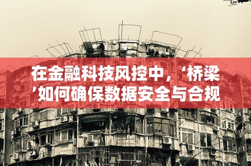 在金融科技风控中，‘桥梁’如何确保数据安全与合规？