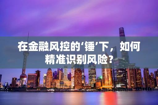 在金融风控的‘锤’下，如何精准识别风险？