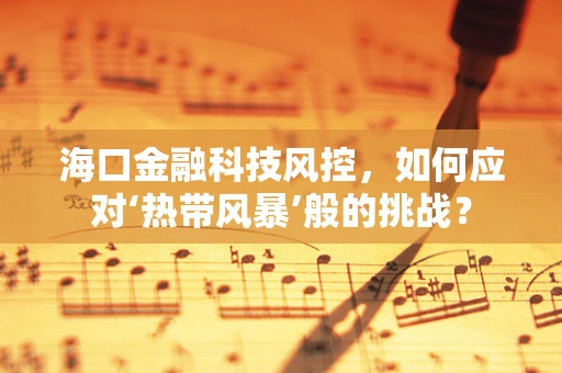 海口金融科技风控，如何应对‘热带风暴’般的挑战？