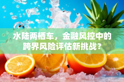 水陆两栖车，金融风控中的跨界风险评估新挑战？