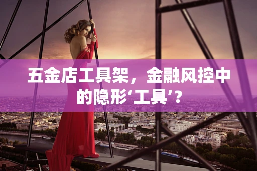 五金店工具架，金融风控中的隐形‘工具’？