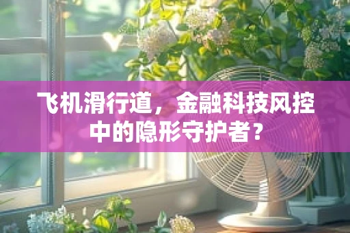 飞机滑行道，金融科技风控中的隐形守护者？