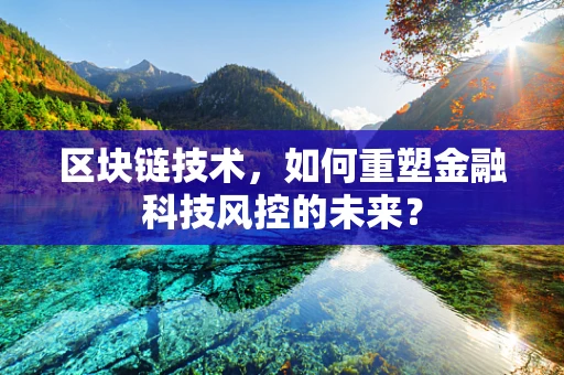 区块链技术，如何重塑金融科技风控的未来？