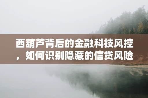 西葫芦背后的金融科技风控，如何识别隐藏的信贷风险？