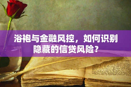 浴袍与金融风控，如何识别隐藏的信贷风险？