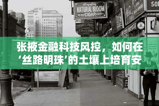 张掖金融科技风控，如何在‘丝路明珠’的土壤上培育安全之花？