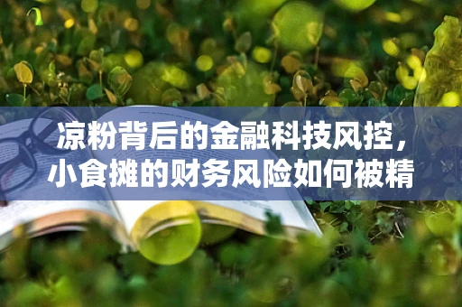 凉粉背后的金融科技风控，小食摊的财务风险如何被精准识别？