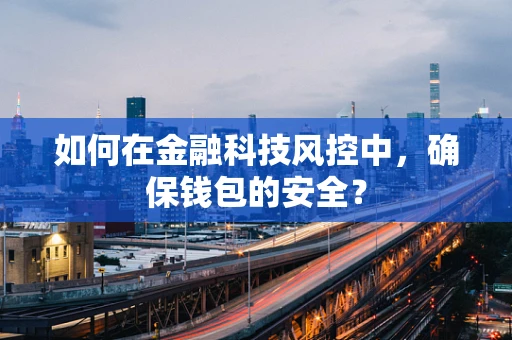 如何在金融科技风控中，确保钱包的安全？