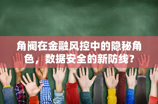 角阀在金融风控中的隐秘角色，数据安全的新防线？