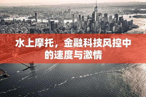 水上摩托，金融科技风控中的速度与激情
